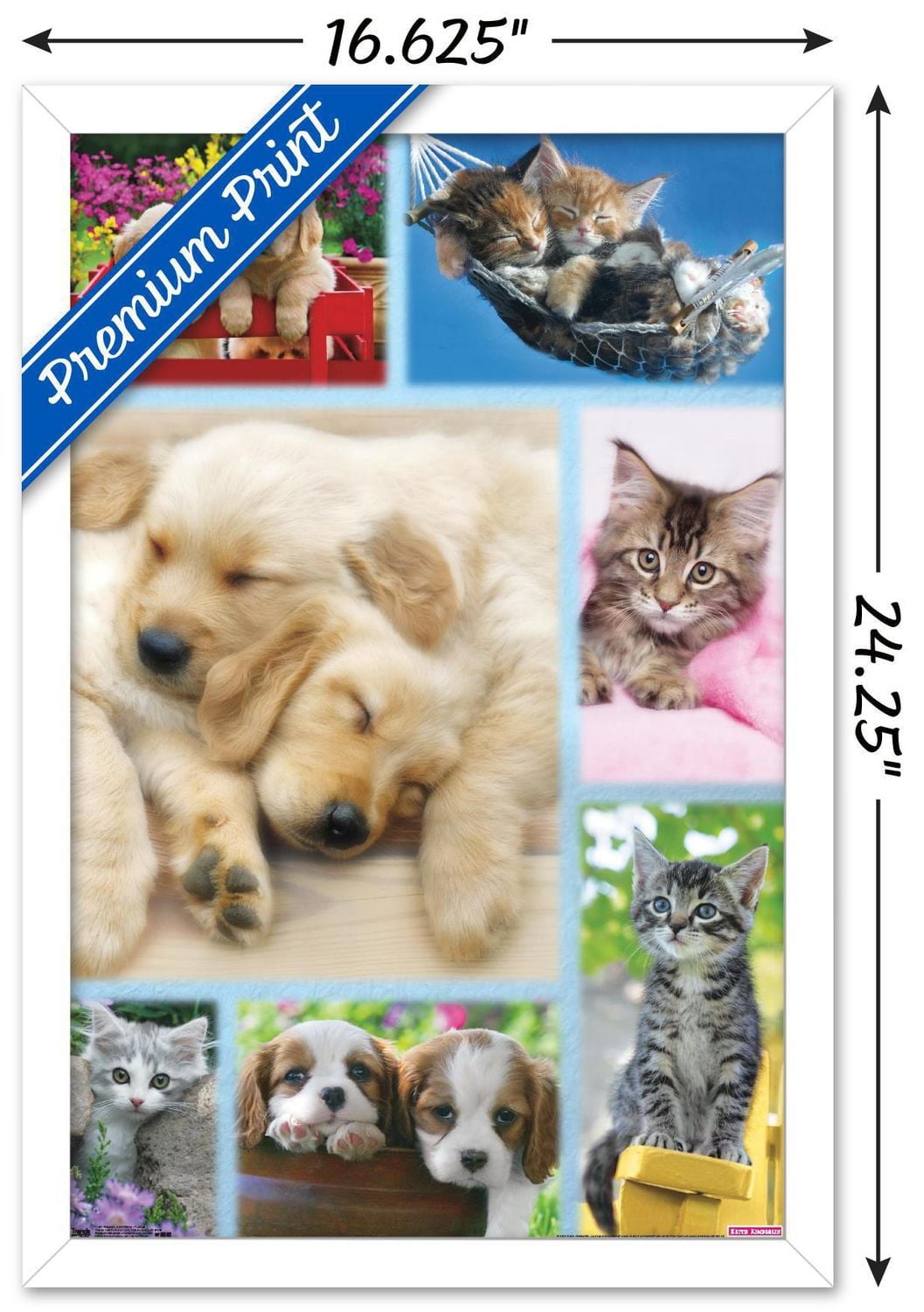 Keith Kimberlin - Puppies and Kittens Collage Wall Poster, 22.375" x 34"