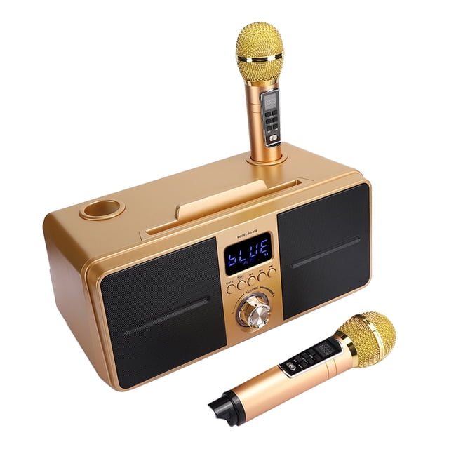 Karaoke Speaker, Singing Practice Music Player, Sound, for Family KTV