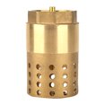 thumbnail image 2 of High Strength Check Valve, Brass Check Valve, Home Maintenance Company For Electric Water Heater Replacement, 2 of 8