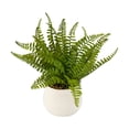 thumbnail image 4 of Fougère artificielle Anko en pot, 4 of 6