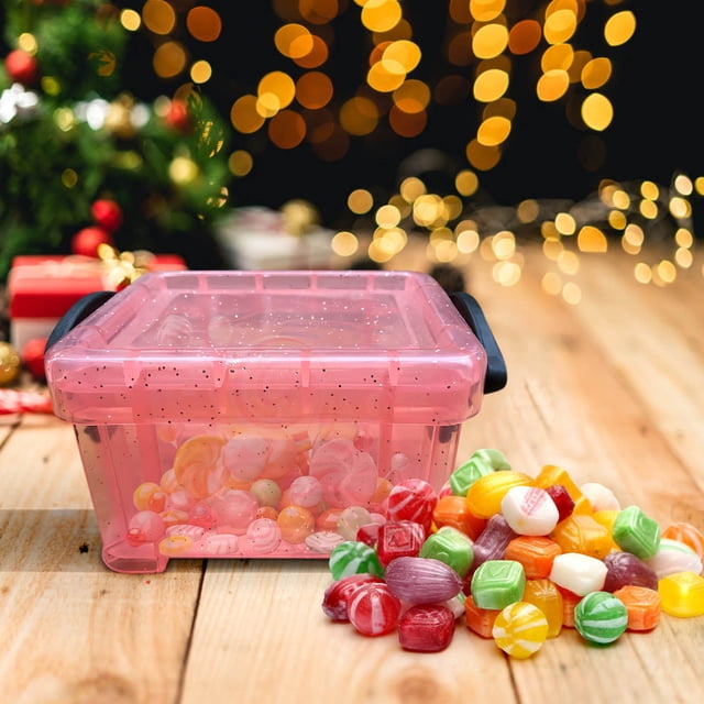 Yhmxh Closet Organizers and Storage Candy Color Mini Storage Box Transparent Storage Box 0.14 Liters Small Glove Box Cute Lock Jewelry Box Mini Storage