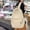 White, variant on Large Capacity Backpack for College Students, Stylish Versatile School Bag with Padded Straps, Durable Laptop Backpack for Women Teens Campus Travel, White