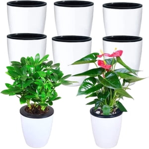 8 Pots auto-abreuvants pour les plantes intérieures 4 Inch Pot de fleurs Moderne Planteur en plastique décoratif pour toutes les maisons Plantes Fleurs Blanc