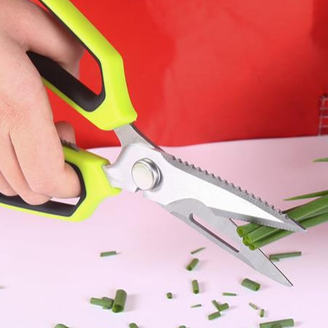 Stainless Steel Water Bottles,Multifunctional Chicken Scissors Stainless Steel Large Powerful Scissors for Outdoor Kitchen,Water Bottle Stainless Steel,Stainless Steel Bottle
