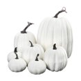 thumbnail image 1 of 7 Pcs Fausses Citrouilles Récolte Citrouille Réaliste Fausse Citrouille en Mousse pour l'Automne l'Halloween Blanc, 1 of 8