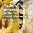 thumbnail image 2 of Glade Branchées® Huile parfumée recharge, Sparkling Sugared Pear™, 2 of 9