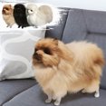 thumbnail image 4 of Yellow Plush Pomeranian Dog Toy Realistic Animal Figure With Soft Fur For Kids Decor Size 87 X 75 X 28 Inches, 4 of 4