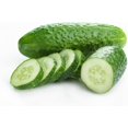 thumbnail image 1 of GSDWIUEW Graines de Concombre, Cornichon Buisson Héritage, 100 Graines, 1 of 5