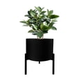 thumbnail image 2 of Blooms Planter Stand Black, 2 of 3