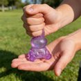 thumbnail image 3 of EGNMCR Rabbits Toys Have Slow Toys That Simulate Rabbits Shape A Cute Portable Stress Relief And Healing Toy Silicone kneading music, 3 of 6