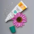 thumbnail image 3 of Burt’s Bees® Advanced Lip Relief with Shea Butter and Echinacea, 100% Natural Origin -, 3 of 5