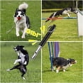 thumbnail image 2 of Ensemble de Sifflets pour Chien Sifflet pour Chien Sifflet pour Chien Sifflet Ultrasonique Sifflet d'Entraînement Sifflet pour Chien Réglable Sifflet Ultrasonique Silencieux pour Chien, 2 of 4