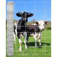 thumbnail image 1 of Bingirl 5ft x 164ft Durable Rust - Resistant Chain Link Fence for Yard Protection, Livestock, Poultry, or Ranch, 1 of 7