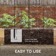 View all media