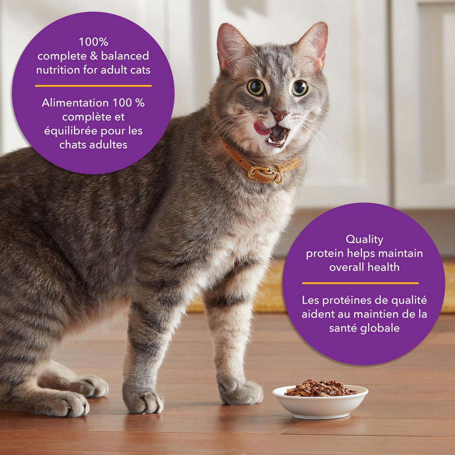 Meow Mix Tenders in Sauce with Real Salmon & Crab, Wet Cat Food, 78G