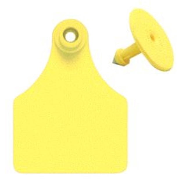 Allflex Allflex Étiquettes 26-50 Jaune Grand - GLF050/GSMY