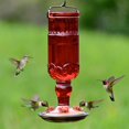 thumbnail image 4 of Perky-Pet  Red Antique Bottle Hummingbird Feeder, 4 of 7