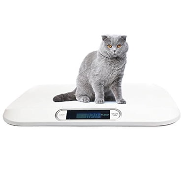 Balance Numérique Portable pour Animal de Compagnie Chien Chat 44 lb x 0,22 lb