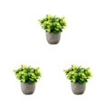 thumbnail image 4 of Redempat Plastic Easy To Clean Artificial Succulent Realistic Appearance Long-lasting Durability Eco-friendly newyellowbabysbreath 3Set, 4 of 6