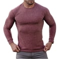 thumbnail image 2 of IROINNID Pull à Col Rond pour Hommes Manches Longues Mi-Long Couleur Unie Chaud Automne et Hiver Chemises de Sport s, 2 of 3