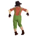 thumbnail image 3 of Fun Costumes Womens Exclusive Scarecrow Costume Set, 3 of 5