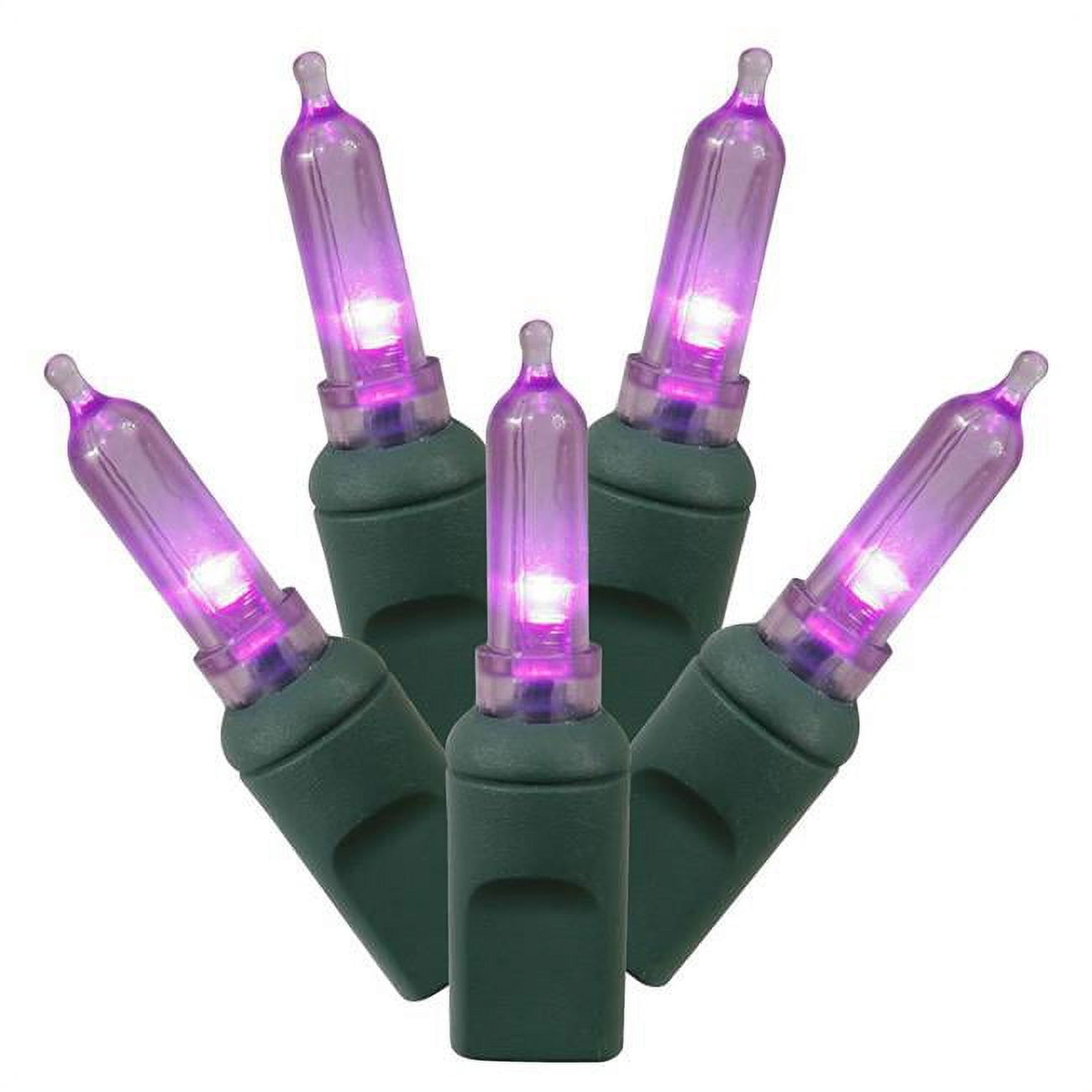Vickerman X4G7106 100 Purple Italian LED Lights on Green Wire, 34 ft. Christmas Light Set