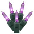 thumbnail image 1 of Vickerman X4G7106 100 Purple Italian LED Lights on Green Wire, 34 ft. Christmas Light Set, 1 of 1