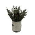 thumbnail image 4 of Holiday Time Wow 10in Green Pinecone Potted Tree, 4 of 5