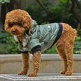 thumbnail image 3 of Dog Faux Pockets Hooded Jacket Warm Winter Coat Snowsuit For Small Dog, 3 of 6