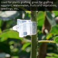 thumbnail image 3 of 100Pcs Vegetable Fruit Tree Seedling Nursery Plastic Plants Grafting Clips Gardening Tools, 3 of 6