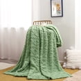 thumbnail image 1 of Becaristey Stay Snug Lightweight Plush Fuzzy Cozy Soft Blanket Easy To Clean And Maintain Polyester Matcha green70X100CM, 1 of 1
