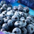 thumbnail image 3 of Bulbs are Easy Fruit Plant - Blueberry Assortment, 3 of 4