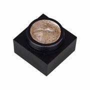 Riforla New Japanese Flash Nail Polish High Density Painted Nail Polish Metal Platinum Nail Polish Nail Polish