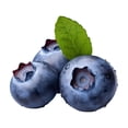 thumbnail image 3 of Blueberries, 312 g, 3 of 6