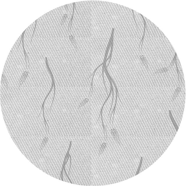 Ahgly Company Tapis Rond Lavable en Machine Intérieur Transitionnel Gris Nuage Gris, 3 Pieds Rond