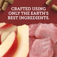 thumbnail image 4 of Zuke's Lil' Links Chicken and Apple Recipe Training Treats Dog Treats 170 g, 4 of 9