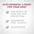 thumbnail image 2 of K9 Advantix II Flea and Tick Treatment for Large Dogs (6 doses), 2 of 7