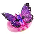 thumbnail image 2 of P’tit papillon Little Live Pets - Ailes sublimes, 2 of 2