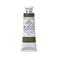 thumbnail image 1 of M. Graham Artist Oil Paint Sap Green, Permanent 1.25oz/37ml Tube, 1 of 1