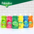 thumbnail image 3 of Palmolive Essential Clean Liquid Dish Soap, Original Scent - 828 mL, 828 mL, 3 of 5