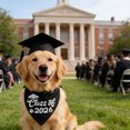 thumbnail image 1 of Pet Graduation Cap and Adjustable Bow Tie Set with Elastic Strap, Black Polyester, Fits Small to Medium Dogs and Cats, Lightweight Photo Prop for School and Graduation, 16x16x9 cm, 1 of 6