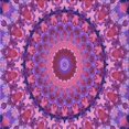 thumbnail image 1 of Ahgly Company Tapis d'Intérieur Lavable à la Machine, Carré, Transitionnel, Moyen Violet Rouge Rose, Tapis de Zone, 7 Pieds Carré, 1 of 7