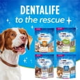 thumbnail image 2 of Dentalife ActivFresh Races Miniatures Gâteries à Mâcher pour Soins Buccodentaires Quotidiens, 2 of 9