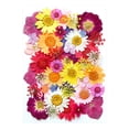 thumbnail image 1 of XYAIYT Dried Embossed Flowers for Resin Kit Natural Crafting Material for Candles,Jewelry,Scrapbooking,DIY Home Decor,Ideal for Gift Making Creative Projects, 1 of 1