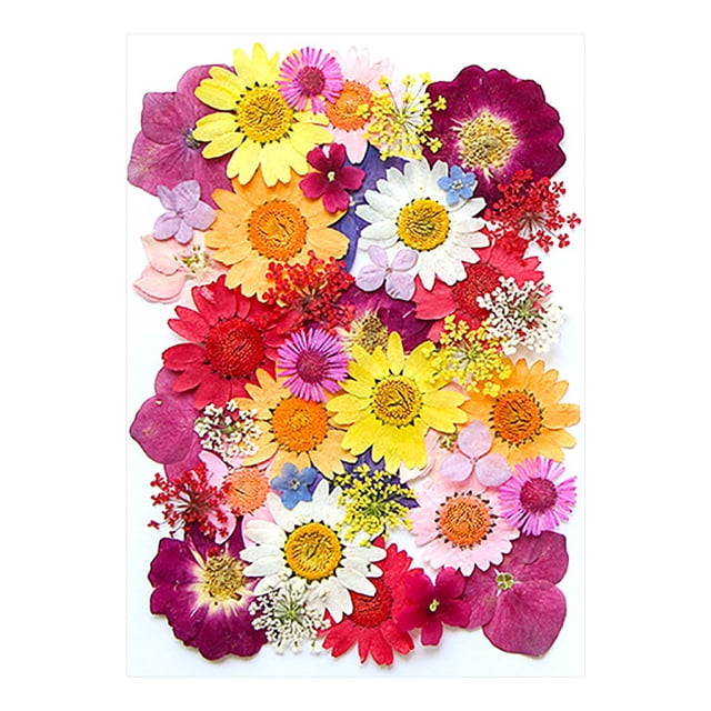 XYAIYT Dried Embossed Flowers for Resin Kit Natural Crafting Material for Candles,Jewelry,Scrapbooking,DIY Home Decor,Ideal for Gift Making Creative Projects