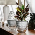 thumbnail image 4 of RuiJiao Clearance Transparent Diamond Flower Pot Double Layer Water Storage Flower Pot Small Planting Pot Lazy Office Flower Pot, 4 of 8