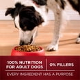 thumbnail image 2 of Purina ONE True Instinct Beef & Bison, Dry Dog Food 12.4kg, 2 of 9