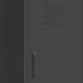 thumbnail image 5 of vidaXL Armoire de Rangement Anthracite 42,5x35x101,5 cm Acier, 5 of 5