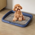 thumbnail image 1 of EGNMCR Flat Bottom Dog Toilet Detachable And Washable Pet Specific Dog Urine Potty Easy To Clean Designs Suitable For Small And Medium Sized Dogs Plastics dog toilets, 1 of 6
