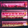 thumbnail image 4 of Bandes Lumineuses de Croissance LED pour Plantes d'Intérieur Rose-Violet LEDs Grow, 4 of 8